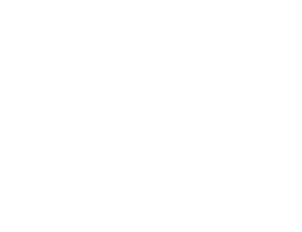 LDV Hospitality