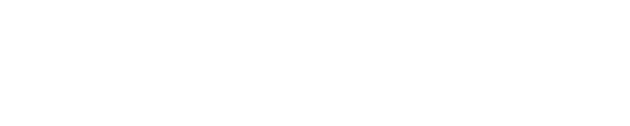 VIP Hospitality Group